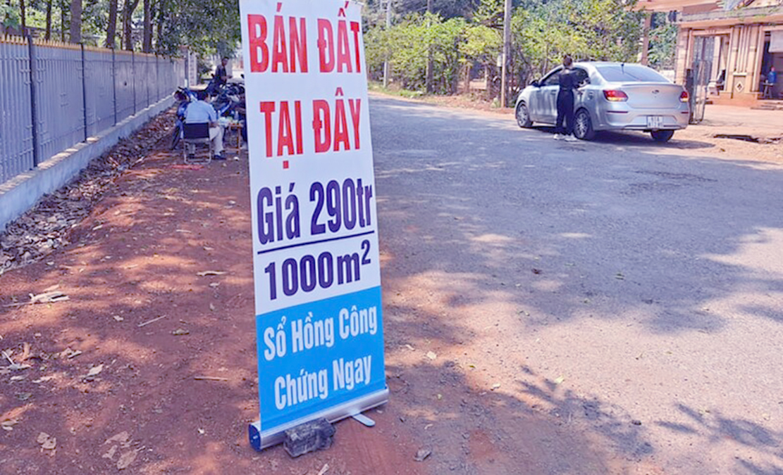 Cò đất giải nghệ tiết lộ độc chiêu thổi giá